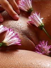 Chantelle  Bodyscape Misty Morning