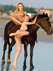 STALLION